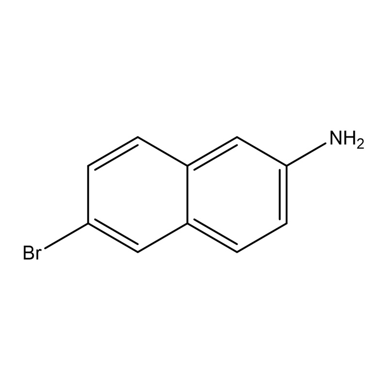 6-Bromnaphthalin-2-amin