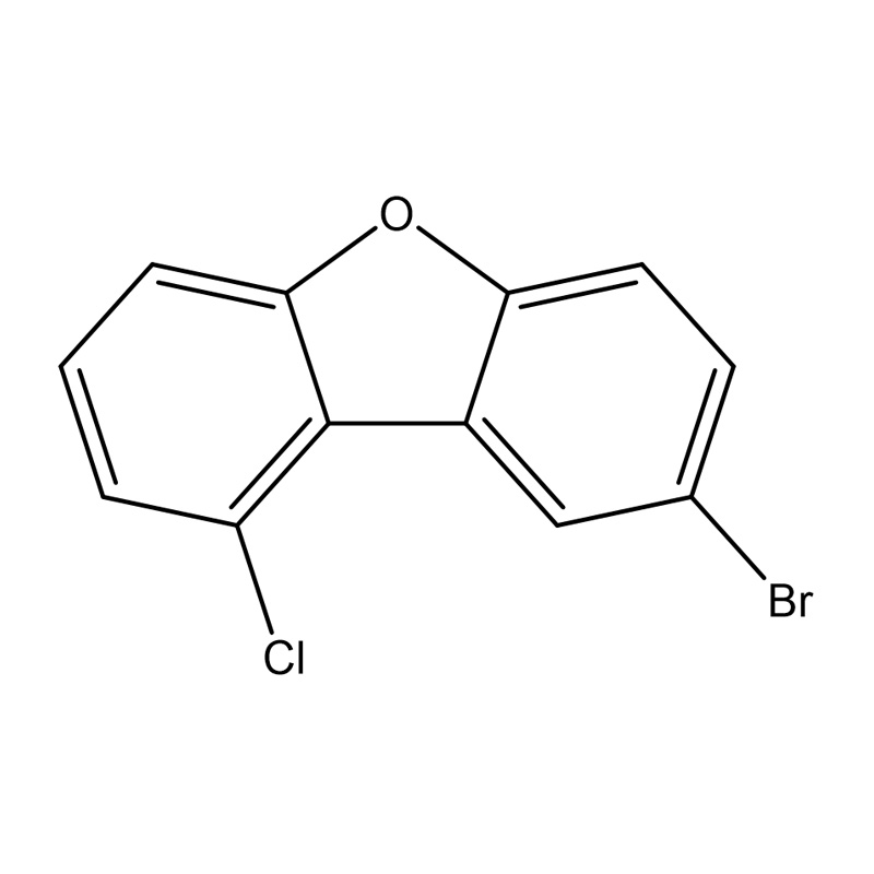 8-Brom-1-chlordibenzo[b,d]furan